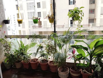 3.5 BHK Apartment – Exterior View View at Chandrarang Wisdom Park, Balewadi - for Sale