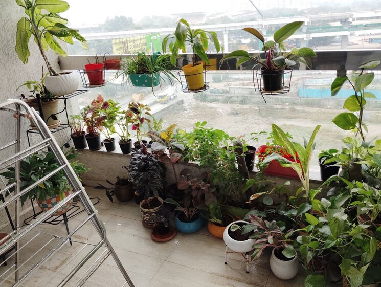 Exterior View, chandrarang-wisdom-park 3.5 Bedroom 2100 Sq.Ft. Apartment In Balewadi Pune 9723983