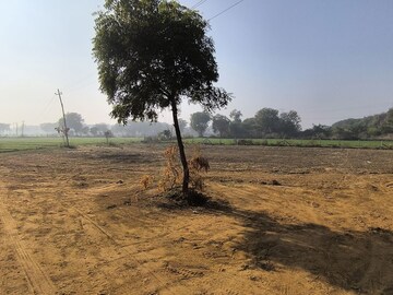 Plot Area in  Land at Pataudi – for Sale