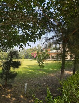  Land – Garden View at Pataudi - for Sale