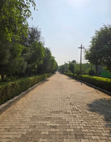 Plot Area in  Land at Pataudi – for Sale