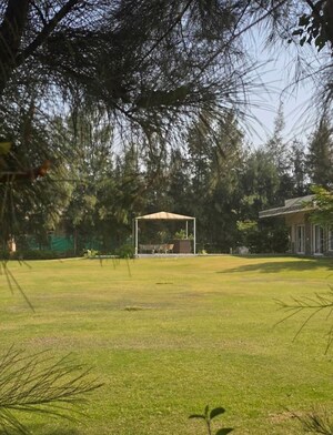  Land For Sale in Pataudi