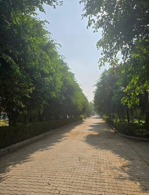  Land – Garden View at Pataudi - for Sale