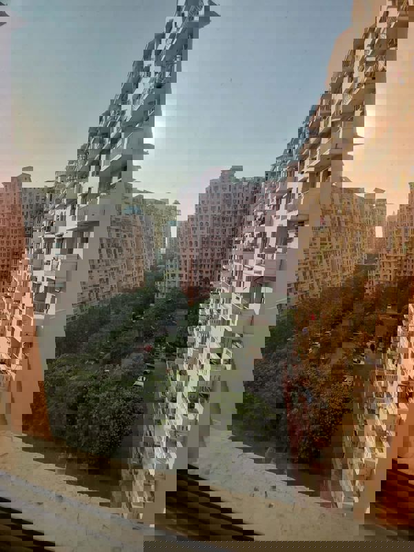 3 BHK 1150 Sq.Ft. Apartment in DLF The Carlton Estate