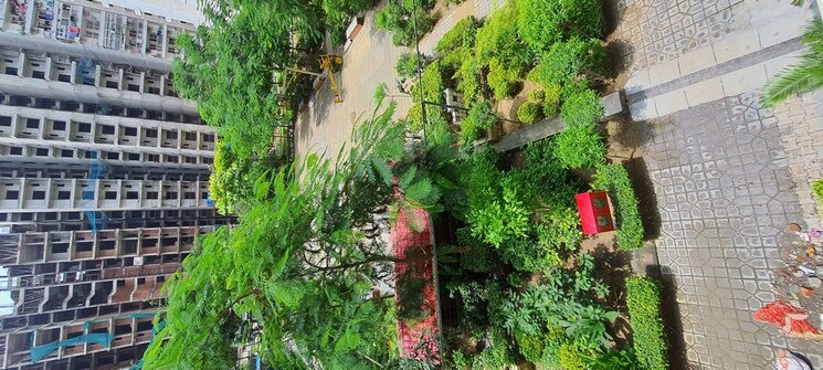 Garden, jkg-palm-resort 2 Bedroom 1005 Sq.Ft. Apartment In Raj Nagar Extension Ghaziabad 9724139