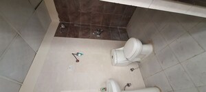 Bathroom in 2 BHK Apartment at JKG Palm Resort, Raj Nagar Extension – for Rent