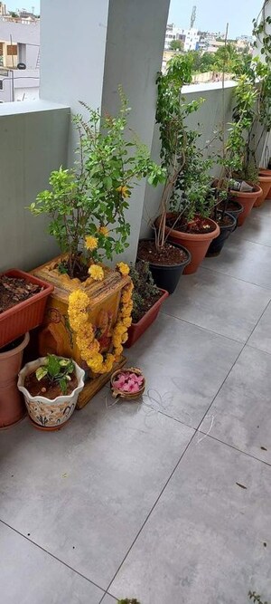 Room in  Pg at Vineet Khand – for Rent