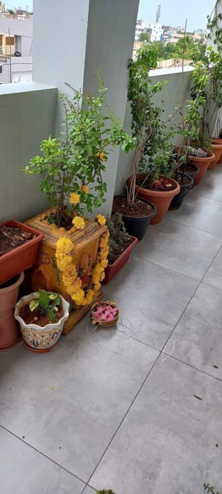 Room, vineet khand Pg For Girls In Vineet Khand 9724242