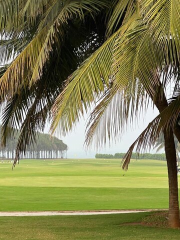  Plot – Exterior View View at Bhogapuram - for Sale