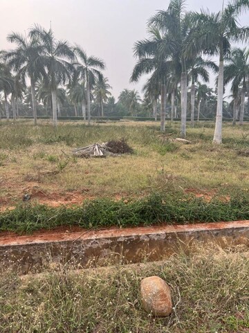 Plot Area in  Plot at Bhogapuram – for Sale