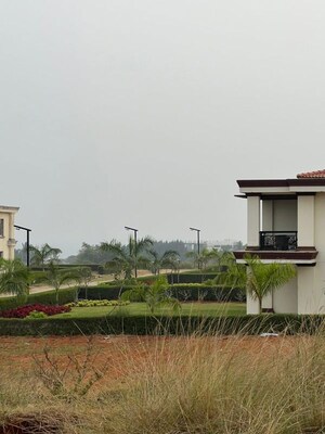  Plot – Exterior View View at Bhogapuram - for Sale