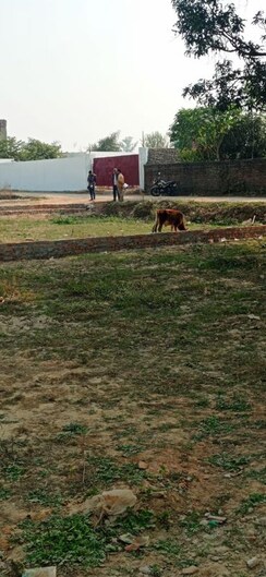 Plot For Sale in Faizabad Road
