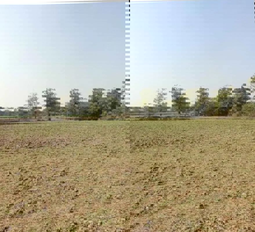 Land For Sale in 40 Feet Road
 Scheme Plot