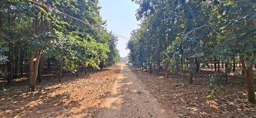 Plot Area in  Plot at Chitkul – for Sale