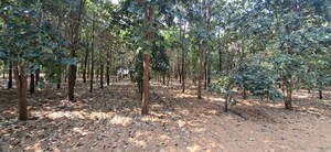 Plot Area in  Plot at Chitkul – for Sale