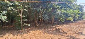 Plot Area in  Plot at Chitkul – for Sale