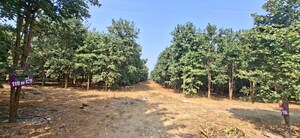 Plot Area in  Plot at Chitkul – for Sale