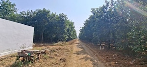 Plot Area in  Plot at Chitkul – for Sale