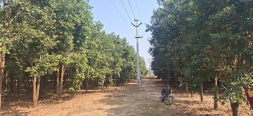 Plot Area in  Plot at Chitkul – for Sale