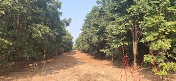 Plot Area in  Plot at Chitkul – for Sale