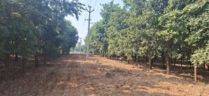 Plot Area in  Plot at Chitkul – for Sale