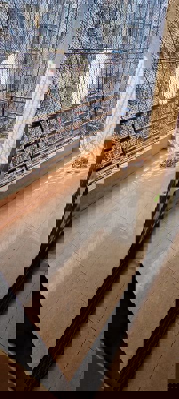 2 BHK Apartment For Rent in Meera Sadan Apartment