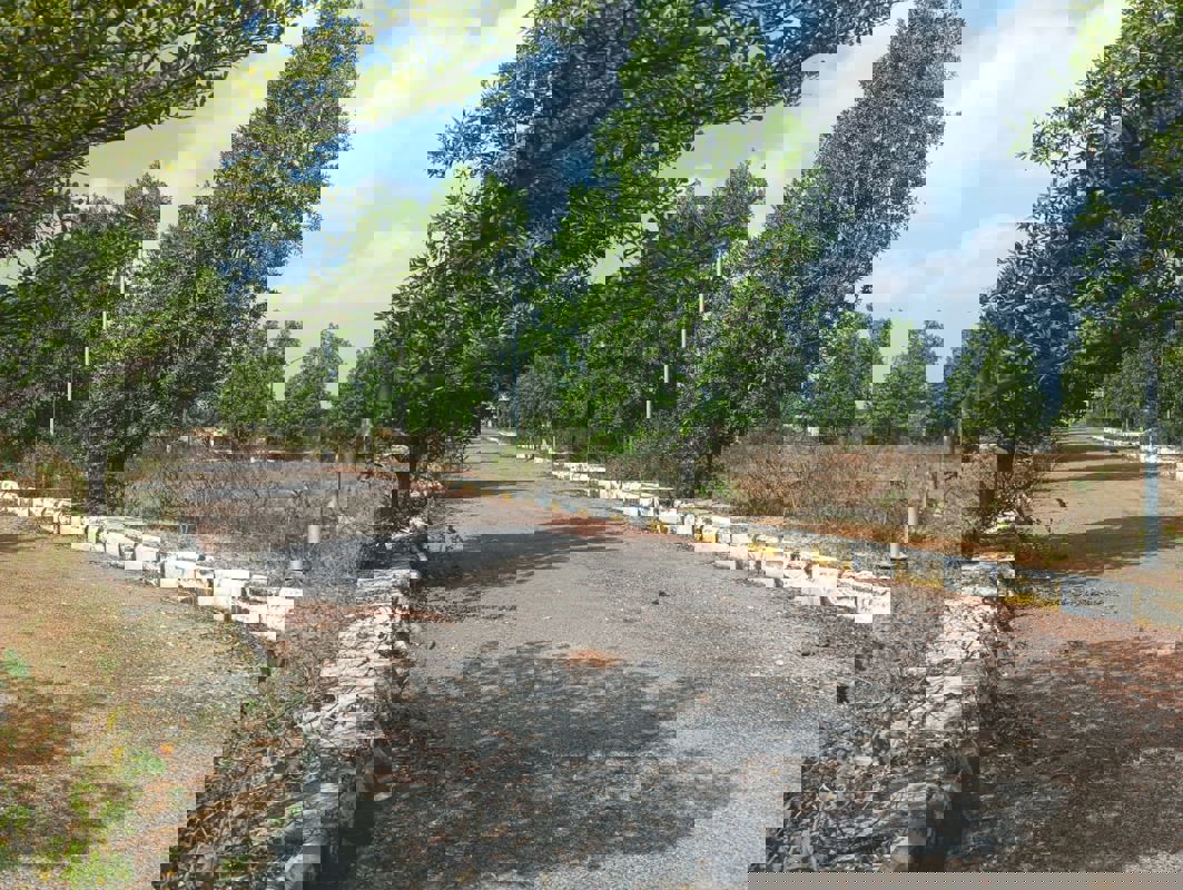 Plot For Sale in Pavan Green Aero View