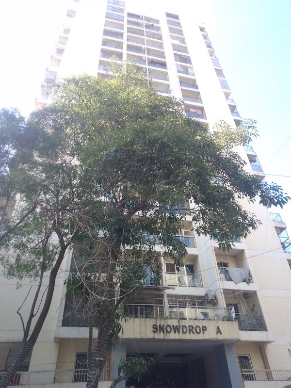 1 BHK Apartment For Rent in Snowdrop CHS