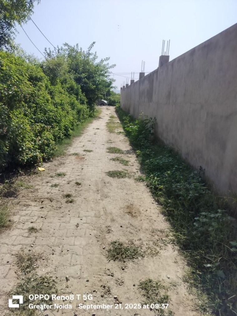 undefined, sector 27 yamuna expressway  500 Sq.Yd. Plot In Sector 27 Yamuna Expressway Greater Noida 9724969