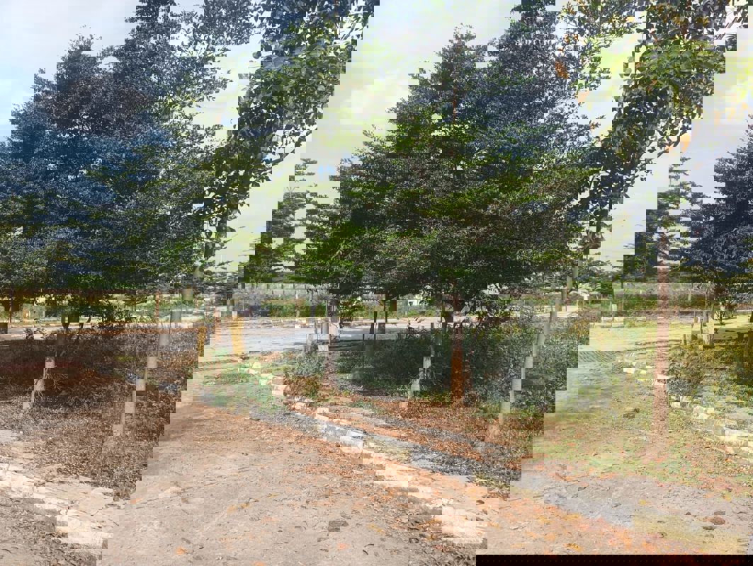 Plot For Sale in Vasudaika Southfields