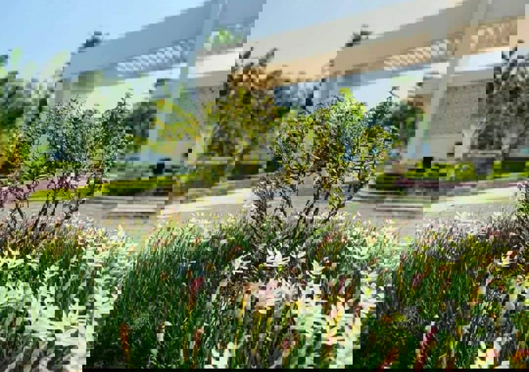 Plot For Sale in Wing Lucknow Greens Plots