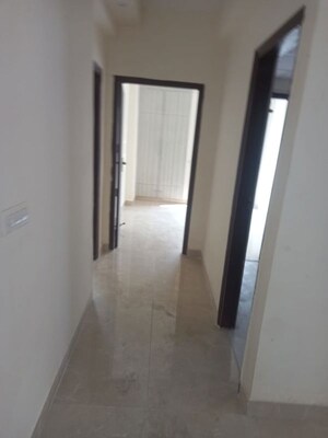 2 BHK Apartment For Rent in Sikka Karnam Greens, Sector 143b
