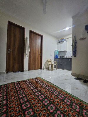 1 BHK Apartment For Rent in Saket