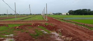  Plot For Sale in Ranga Bazar