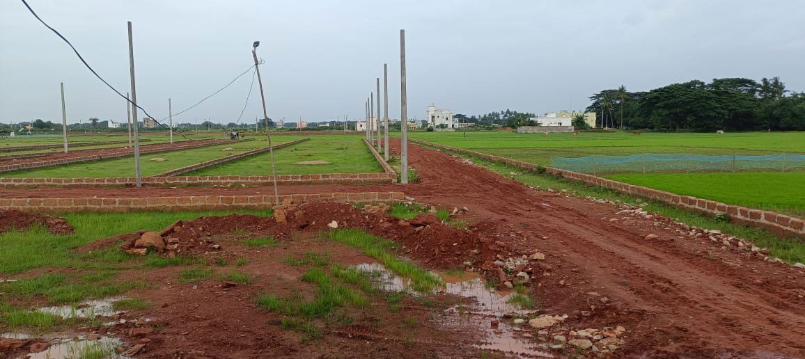 Plot For Sale in Ranga Bazar