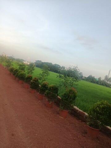 Plot Area in  Plot at Ranga Bazar – for Sale