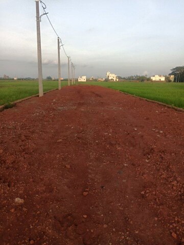 Plot Area in  Plot at Ranga Bazar – for Sale