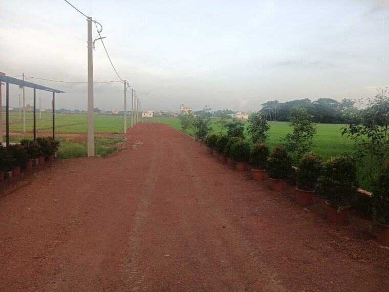 undefined, ranga bazar  1500 Sq.Ft. Plot In Ranga Bazar Bhubaneswar 9725409