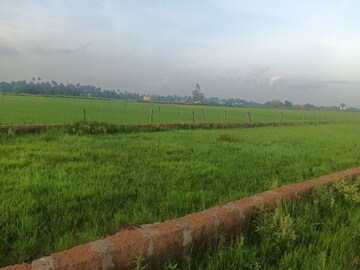 Plot Area in  Plot at Ranga Bazar – for Sale