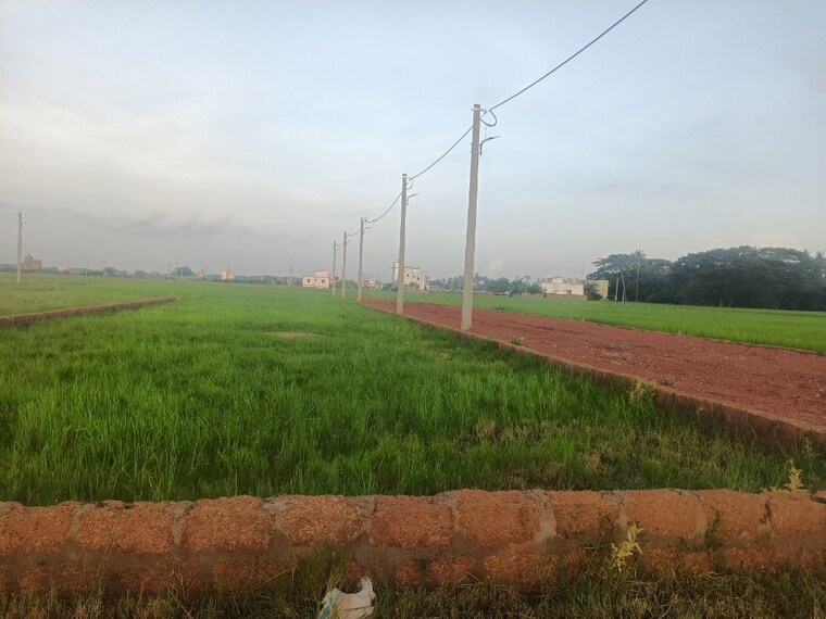 undefined, ranga bazar  1500 Sq.Ft. Plot In Ranga Bazar Bhubaneswar 9725409