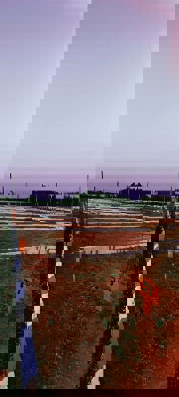 Plot For Sale in Kaggadasapura