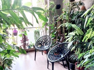 3 BHK Apartment – Exterior View View at Sai Innovision 7 Avenues, Balewadi - for Sale