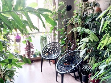 3 BHK Apartment – Exterior View View at Sai Innovision 7 Avenues, Balewadi - for Sale