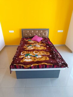 3 BHK Apartment For Rent in Hinjewadi