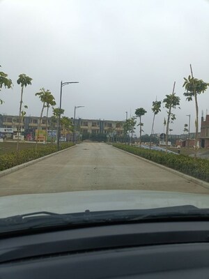 3 BHK Builder Floor For Sale in Tdi City