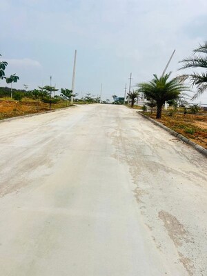 Plot Area in  Plot at Mansanpalle – for Sale