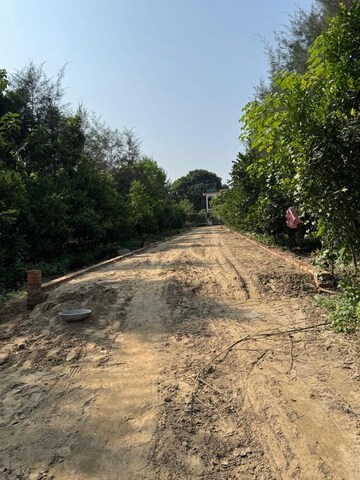 Plot Area in  Plot at Behat Road – for Sale