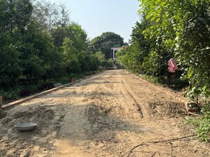 Plot Area in  Plot at Behat Road – for Sale