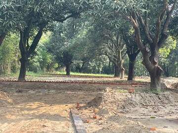  Plot For Sale in Behat Road