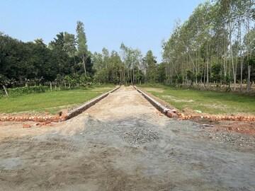 Plot Area in  Plot at Behat Road – for Sale